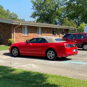 Meet your Posher, Terry